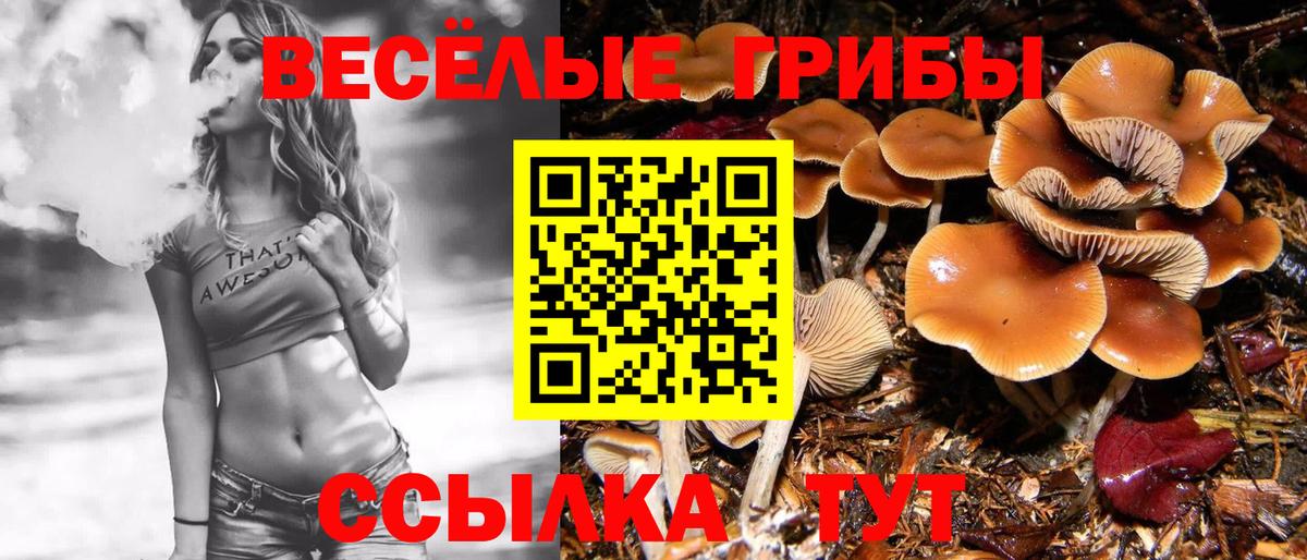 Псилоцибиновые грибы Magic Shrooms Анапа
